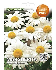 Семена Маргарита Бяла`SG