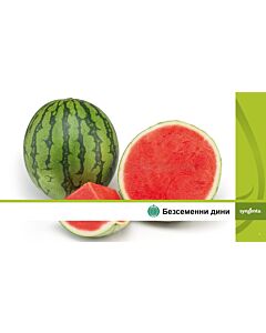Семена дини безсеменни Ред Джаспър F1 Syngenta  - 1 оп -1 000 семена