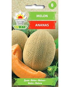 Пъпеш Ананас - Melon Ananas - TF- 1г