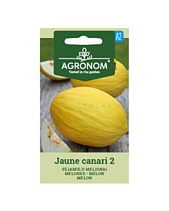 СК СЕМЕНА ПЪПЕШ ЖЪЛТ JAUNE CANARI 2