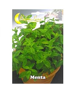 Семена Мента MEGA PACK - BL