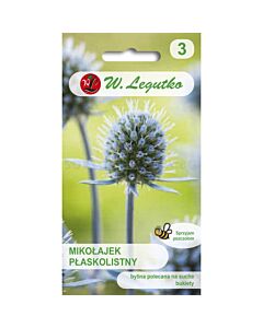 ЛГ ЕРИНГИУМ Eryngium planum grey-blue