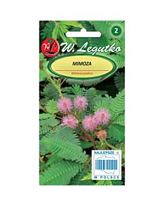 ЛГ МИМОЗА Mimosa pudica pink