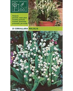 Момина сълза (Convallaria majalis) 10бр