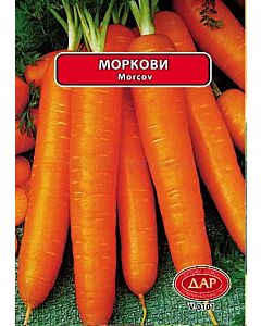Сорт моркови Нантски. Аграра ООД. Сортови семена Варна
