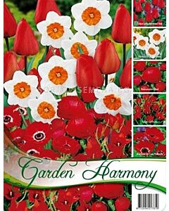 Колекция луковици микс Red Garden - 50 бр