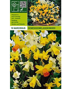 Нарцис Botanical (пакет - 10 луковици)