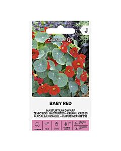 СЕМЕНА ЛАТИНКА НИСКА BABY RED СК