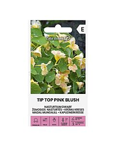 СЕМЕНА ЛАТИНКА НИСКА TIP TOP PINK BLUSH СК