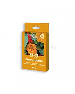 СЕМЕНА ЛАТИНКА GLEAM HYBRIDS MIX 80Г  - СК 