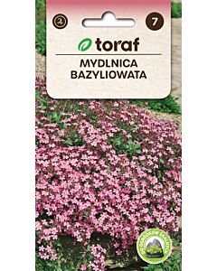 СЕМЕНА САПОНАРИЯ Mydlnica bazyliowata - ТОРАФ - 0,5 г