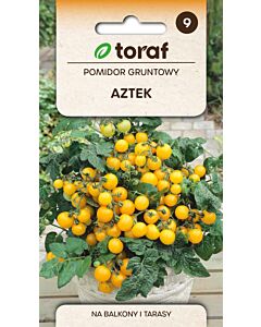 СЕМЕНА ДОМАТИ КОКТЕЙЛНИ ЖЪЛТИ Aztek- 0.3 г-ТОРАФ