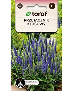 ТОРАФ СЕМЕНА ВЕРОНИКА Przetacznik klosowy | Veronica spicata - 0,1 г