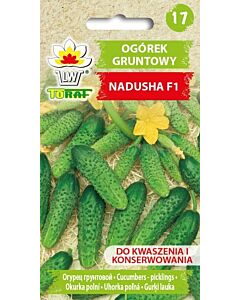 СЕМЕНА КОРНИШОНИ Nadusha F1 - 1Г - ТОРАФ
