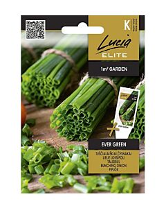 СК Семена ЛУК EVER GREEN - 2 г