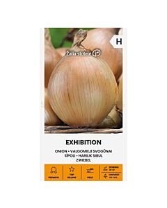 СК СЕМЕНА ЛУК EXHIBITION