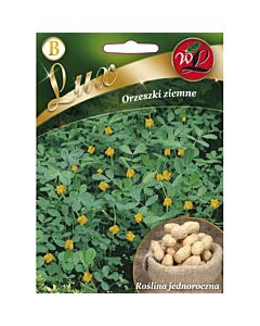 ЛГ ФЪСТЪЦИ Arachis hypogaea