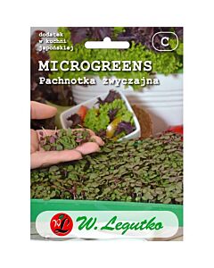 ЛГ ПЕРИЛА Микрорастения Perilla frutescens purple