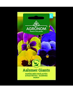 СК СЕМЕНА ТЕМЕНУЖКА AALSMER GIANTS
