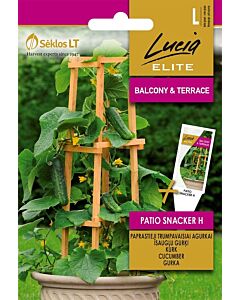 Семена Корнишони Патио Снакер / PATIO SNACKER H / 'SK -1 оп 10 гр