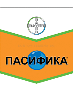 Пасифика ВГ