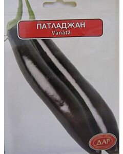 Дълъг патладжан. Аграра ООД. Сортови семена Дар