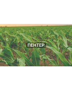 Пентер - 5 л