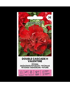 СК ПЕТУНИЯ КАСКАДНА РОЗОВА Х PETUNIA DOUBLE CASCADE H VALENTINE
