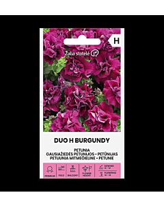 СК СЕМЕНА ПЕТУНИЯ КИЧЕСТА БУРГУНДИ ДУО Х PETUNIA DOUBLE DUO H BURGUNDY  
