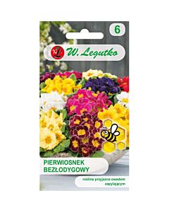 ЛГ ПРИМУЛА Primula acaulis mixture