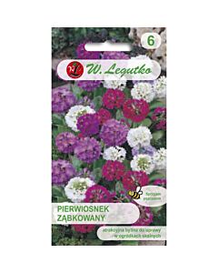 ЛГ ПРИМУЛА МИКС  Primula denticulata mixture