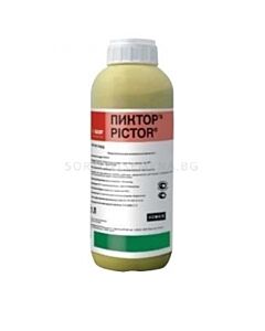 Пиктор