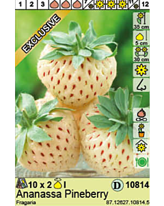 ягоди White Pineberry  - 1 оп - 2 коренища