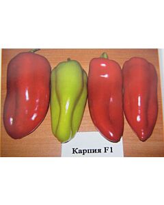 Семена пипер Карпия F1