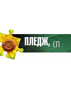Пледж 50 ВП 