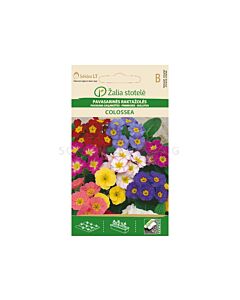 ИГЛИКА COWSLIP COLOSSEA - PRIMROSE-'SK- 50 семена