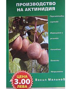 Производство на Актинидия (киви)
