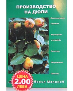 Производство на дюли