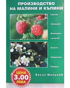 Производство на малини и къпини