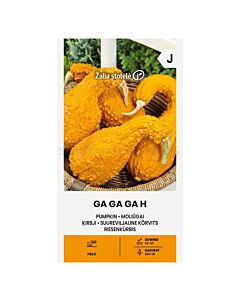 СЕМЕНА ТИКВА GA GA GA - H - СК