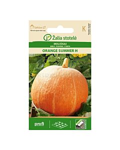СК СЕМЕНА ТИКВА ОРИНДЖ САМЪР - PUMPKIN, ORANGE SUMMER H