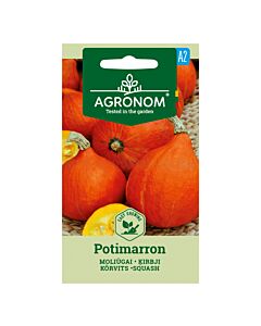 ТИКВА POTIMARRON -  PUMPKIN -'SK -1 г