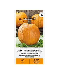 СК СЕМЕНА ТИКВА ЖЪЛТА QUINTALE SEME GIALLO