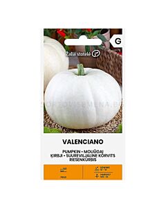 СЕМЕНА ТИКВА VALENCIANO СК 