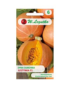 Тиква Justynka F1 - Pumpkin (3.00+1.00g) - Legutko