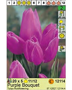 Лале Purple Bouquet - Пакет: 1 оп.- 5 бр.