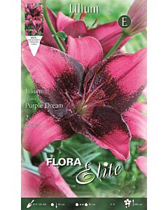 Лилиум азиатски / Flora Elite 'Packs' Lilium asiatic Purple Dream/ 1 оп - 2 бр