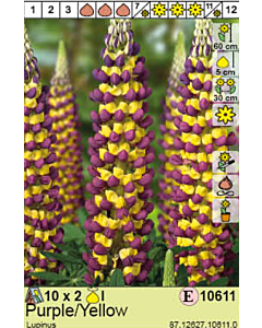 Лупина  Purple/Yellow/ - 1 опаковка- 2 броя