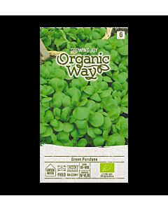 Тученица - PURSLANE SUMMER - 'SK-1г