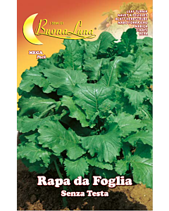 Ряпа листна RAPA DA FOGLIA SENZA TESTA MEGA PACK - BL
